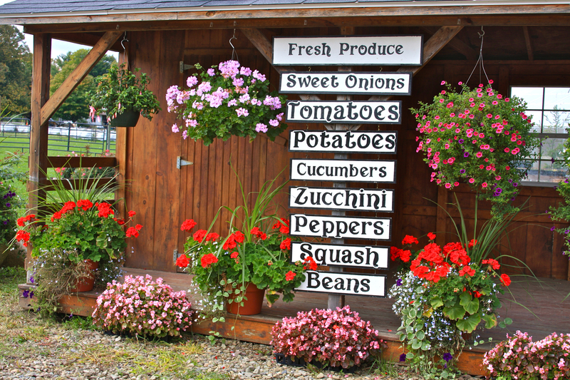 Did you know farmers markets are a valuable resource to not only meet your community but are also a place to make connections with the people growing your food?